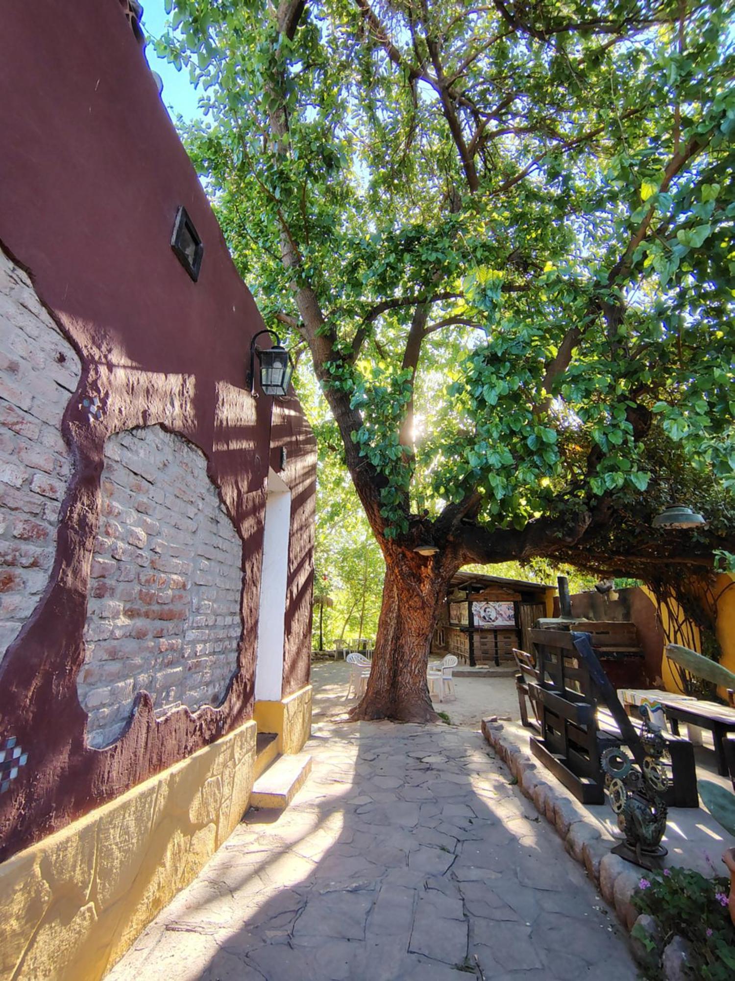 Andamundos Hostel *